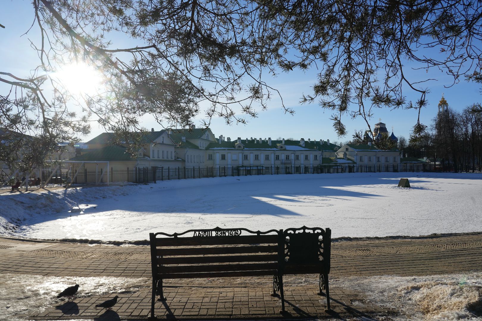 погода, потепление, гололед, сергиев посад, сергиево-посадский городской округ, природа, январь,