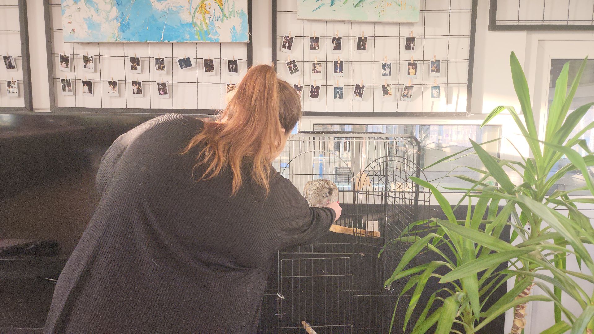 сова, техцентр, автосервис, балашиха,