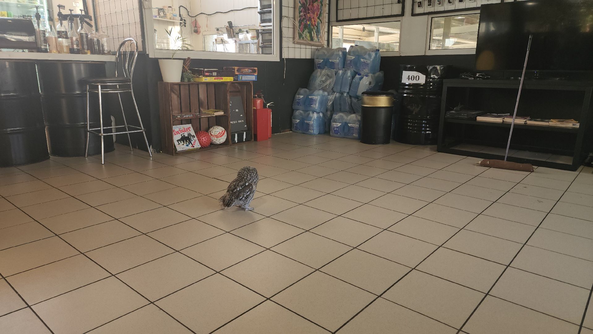 сова, техцентр, автосервис, балашиха,