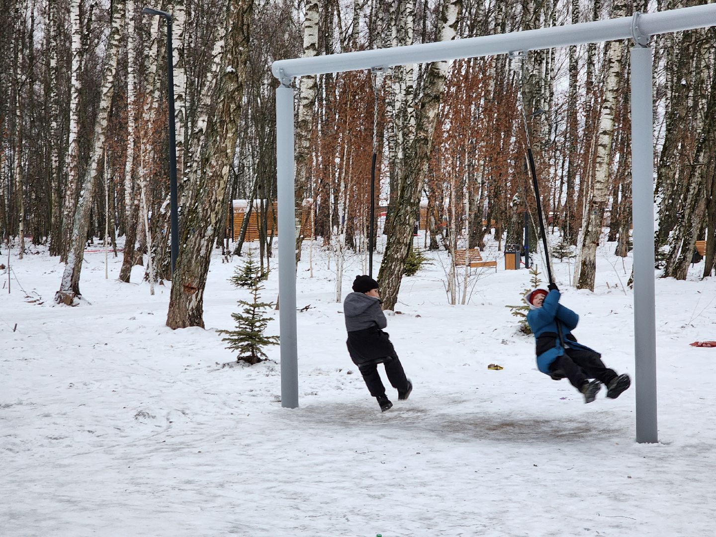 Чехов, микрорайон Губернский, лесопарк, зона отдыха, благоустройство, тренажёры, вертикалки,