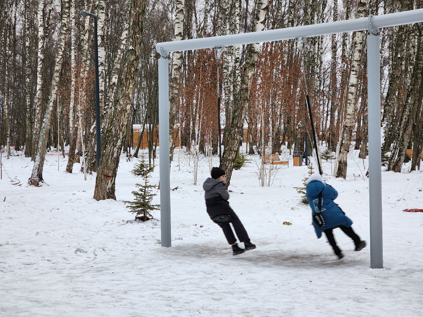 Чехов, микрорайон Губернский, лесопарк, зона отдыха, благоустройство, тренажёры, вертикалки,