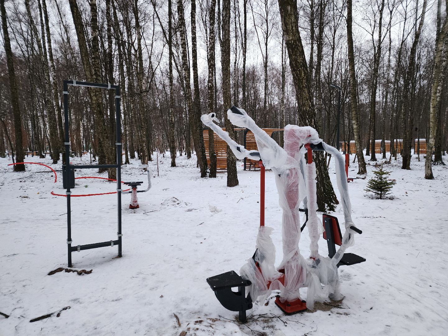 Чехов, микрорайон Губернский, лесопарк, зона отдыха, благоустройство, тренажёры, вертикалки,