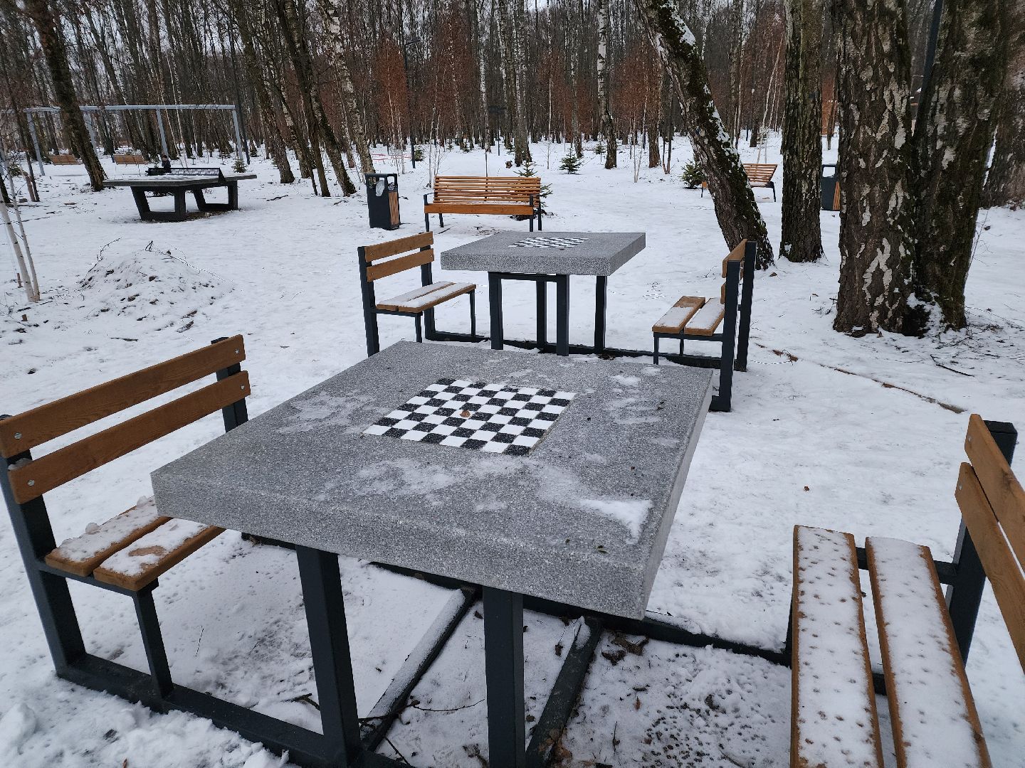 Чехов, микрорайон Губернский, лесопарк, зона отдыха, благоустройство, тренажёры, вертикалки,