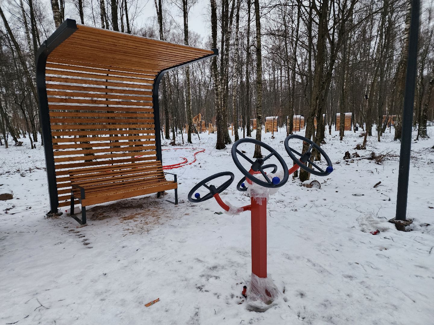 Чехов, микрорайон Губернский, лесопарк, зона отдыха, благоустройство, тренажёры, вертикалки,