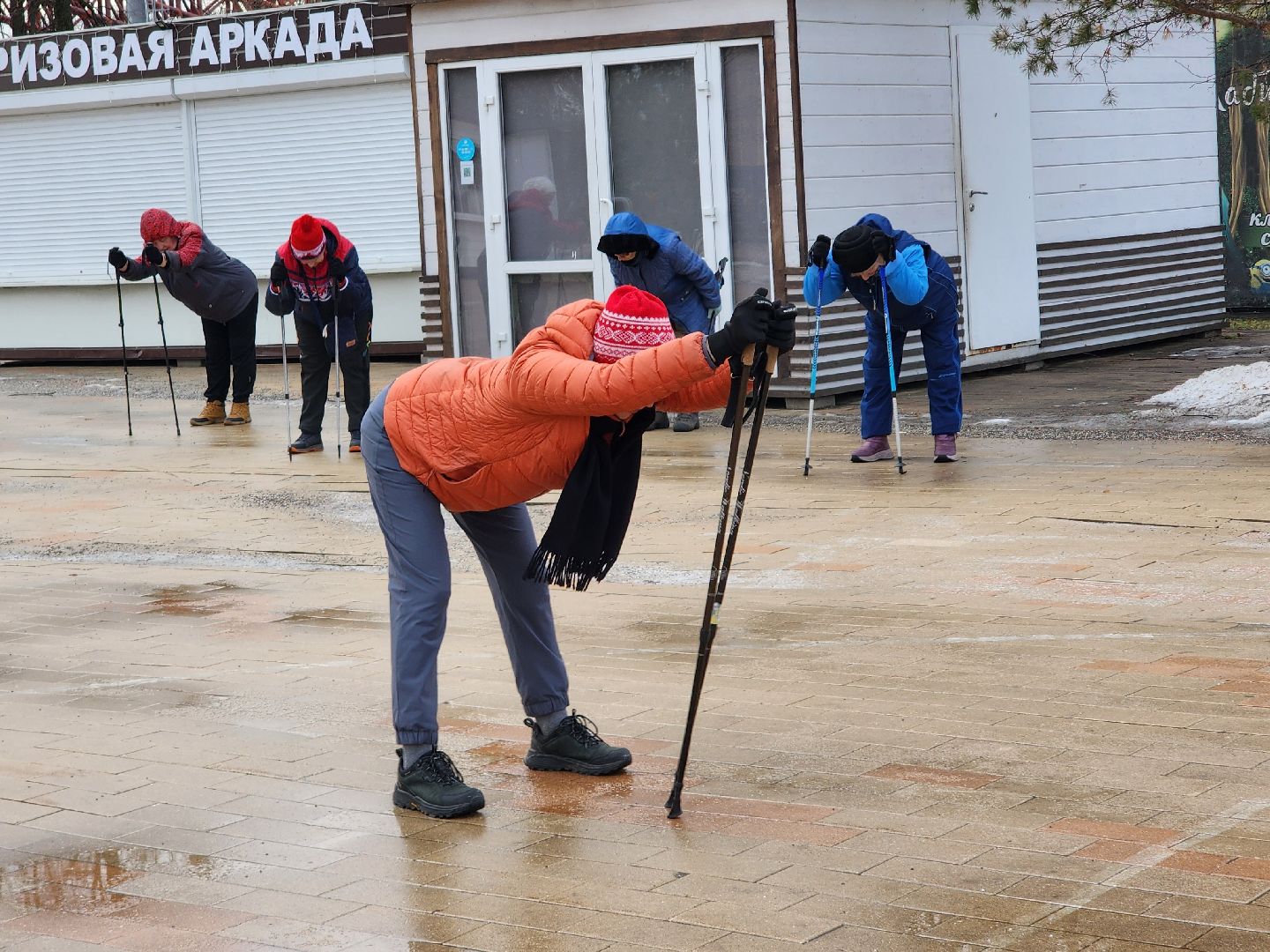 скандинавская ходьба, спорт, активность, здоровье,