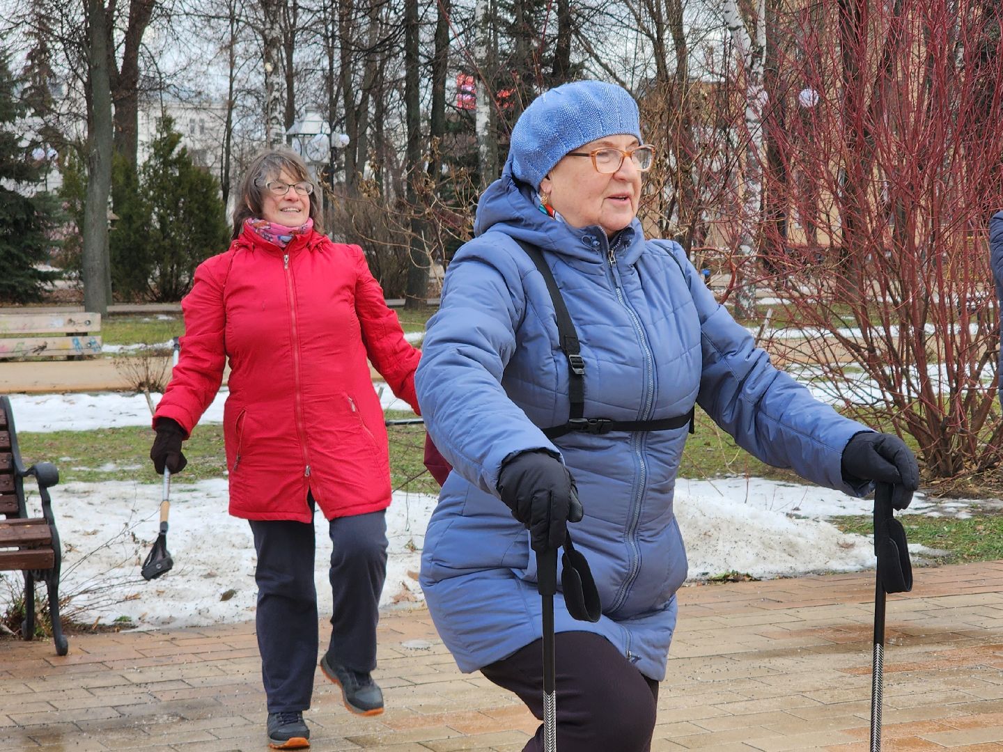 скандинавская ходьба, спорт, активность, здоровье,