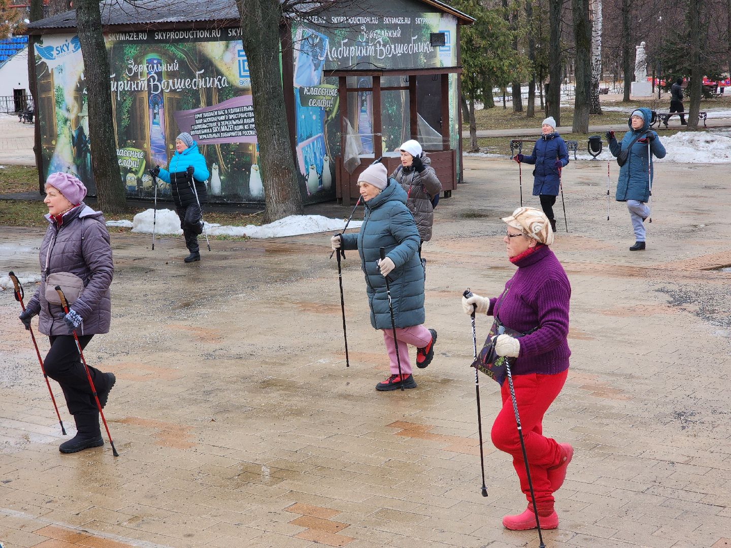 скандинавская ходьба, спорт, активность, здоровье,