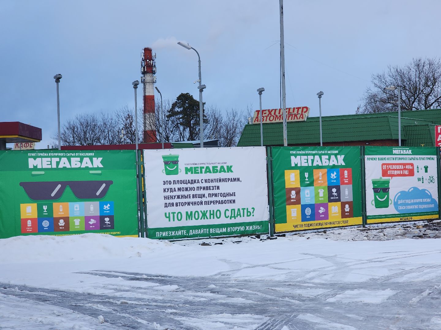 экология, областная акция, переработка елей, Лосино-Петровский,