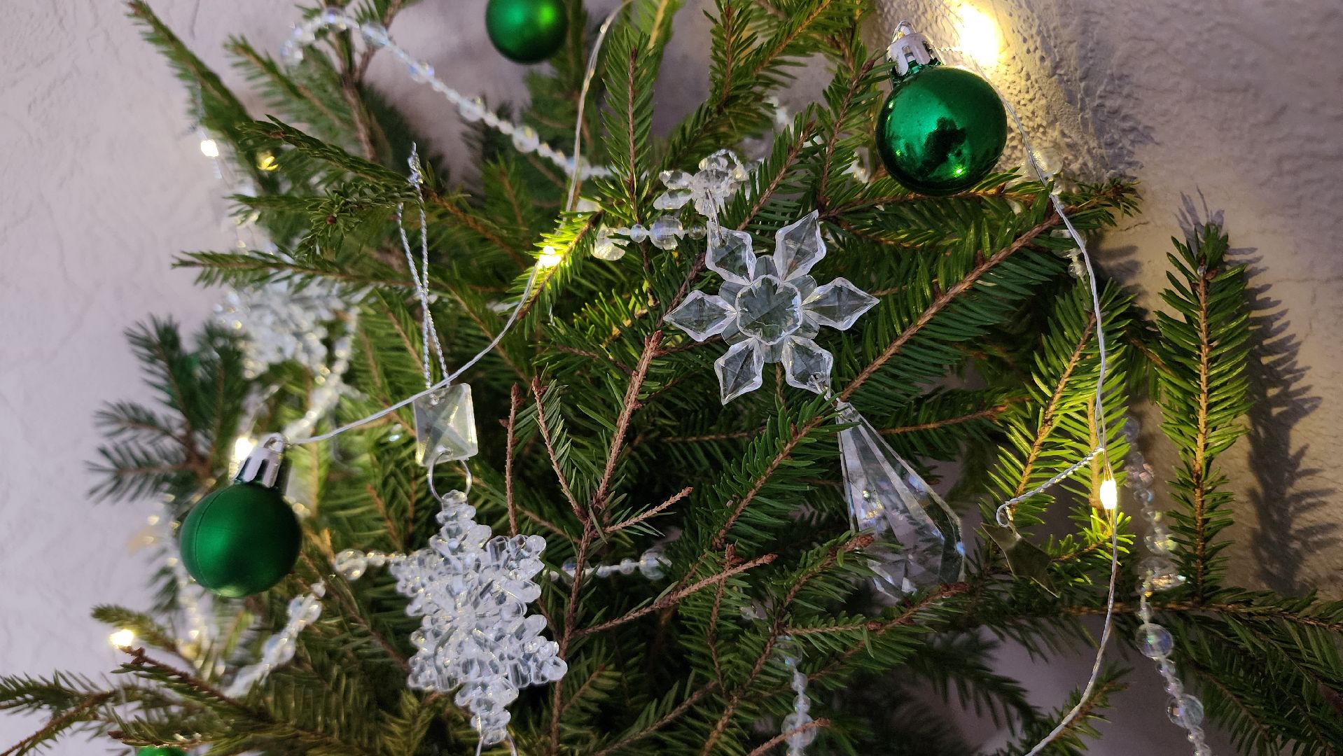 экология, областная акция, переработка елей, Лосино-Петровский,