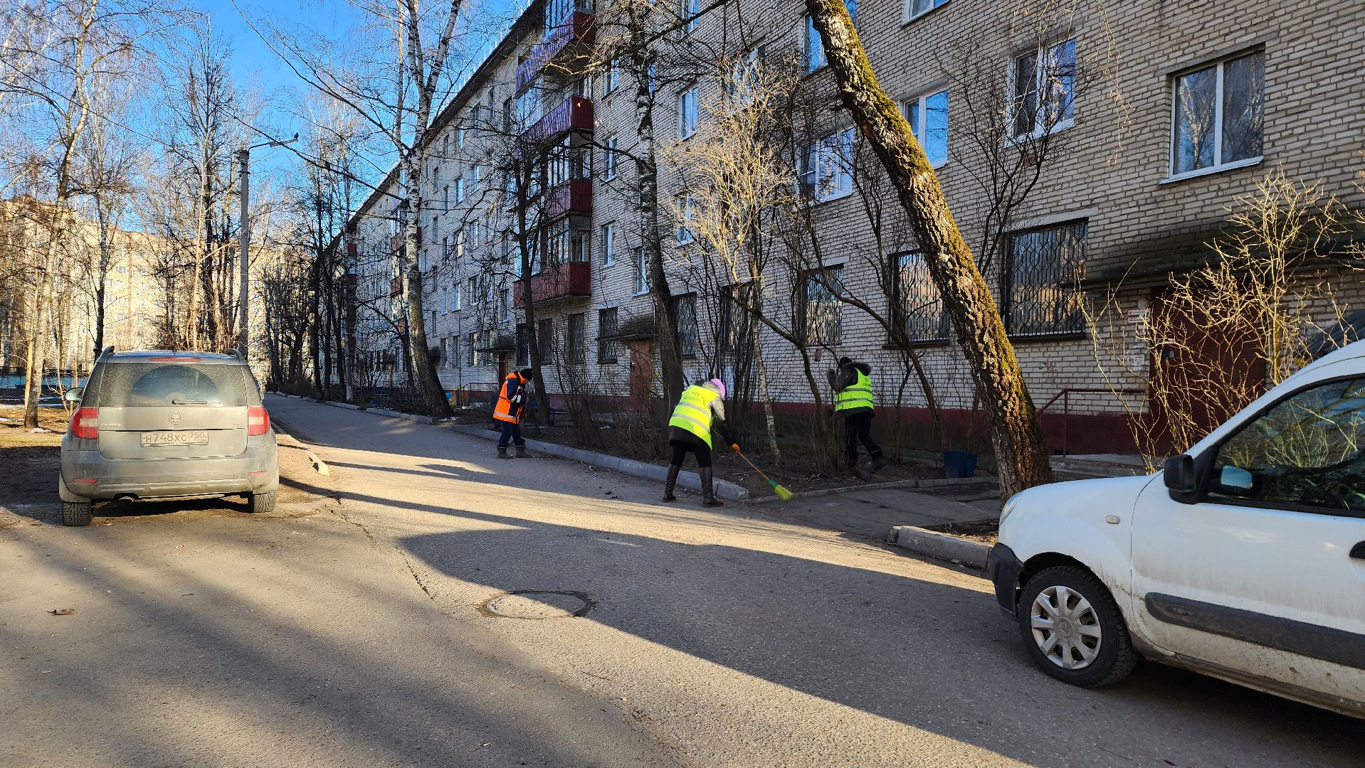 уборка дворов, благоустройство, истра, вертикалки,