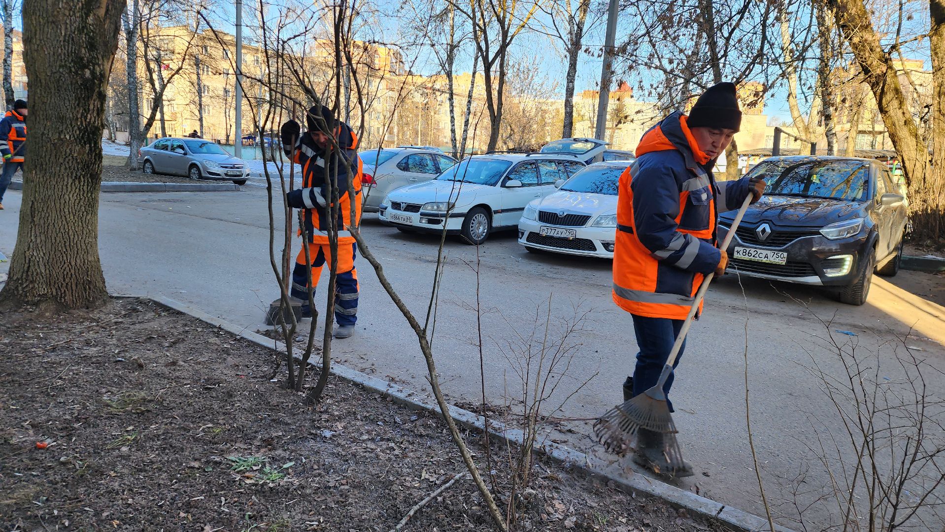 уборка дворов, благоустройство, истра, вертикалки,