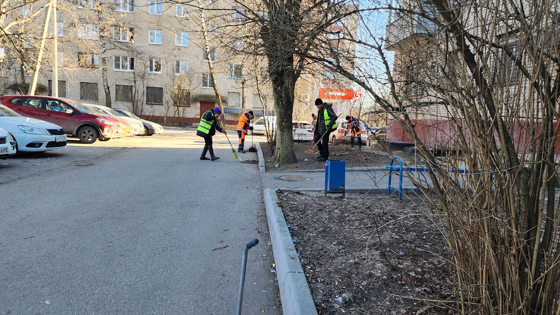 уборка дворов, благоустройство, истра, вертикалки,