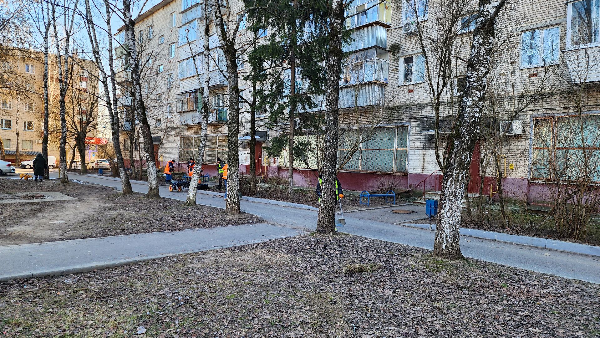 уборка дворов, благоустройство, истра, вертикалки,