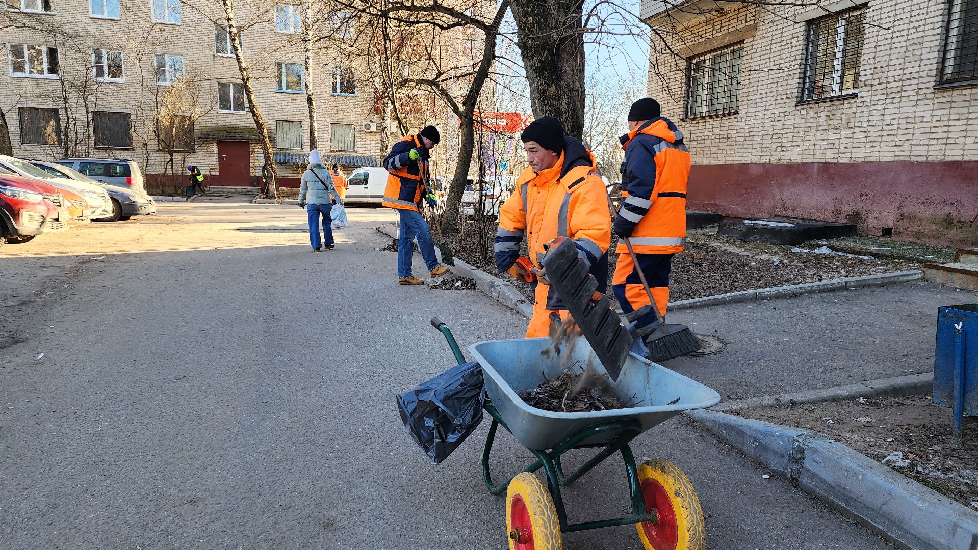 уборка дворов, благоустройство, истра, вертикалки,