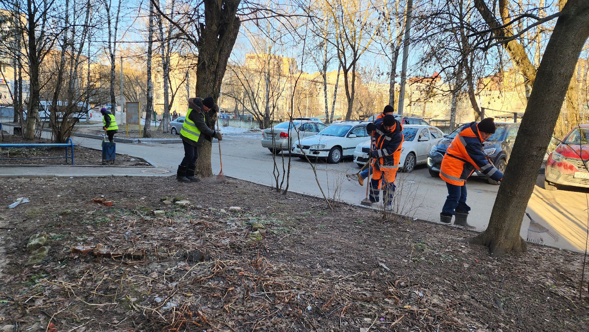 уборка дворов, благоустройство, истра, вертикалки,