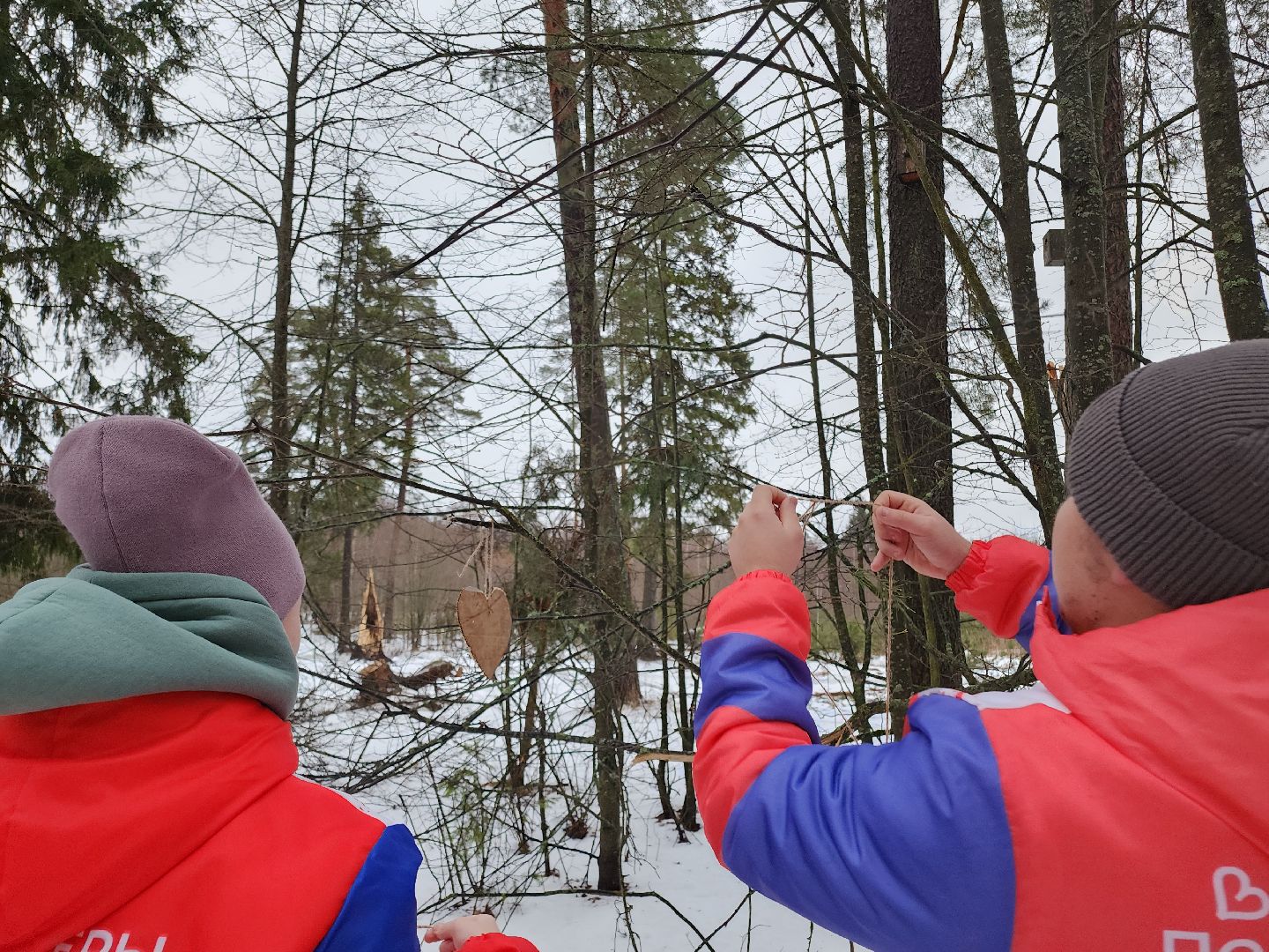 вертикалки, Егорьевск, Подмосковье, Московская область, волонтеры подмосковья,