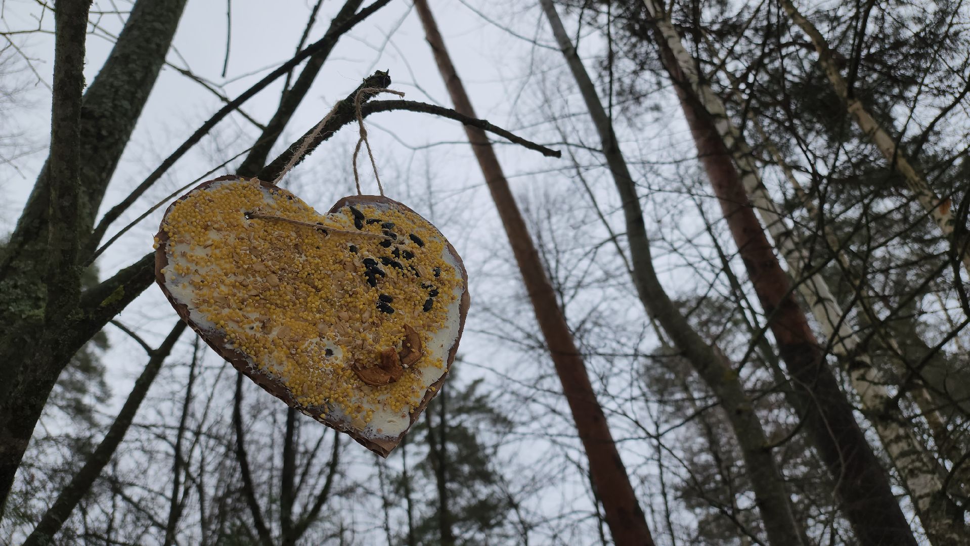 вертикалки, Егорьевск, Подмосковье, Московская область, волонтеры подмосковья,