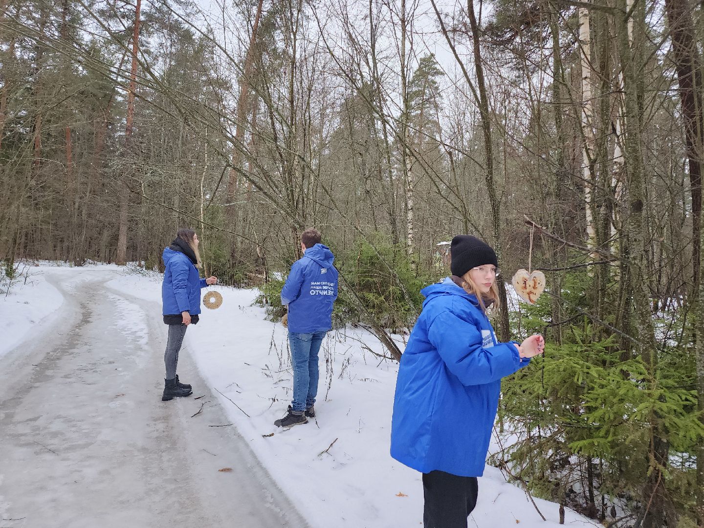 вертикалки, Егорьевск, Подмосковье, Московская область, волонтеры подмосковья,