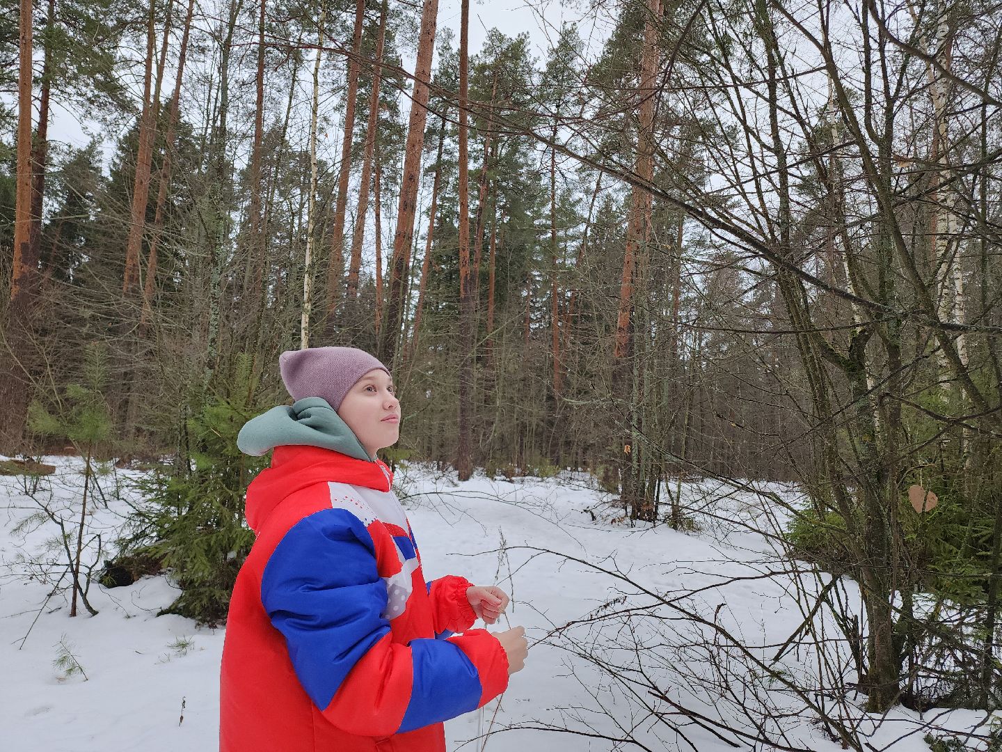 вертикалки, Егорьевск, Подмосковье, Московская область, волонтеры подмосковья,