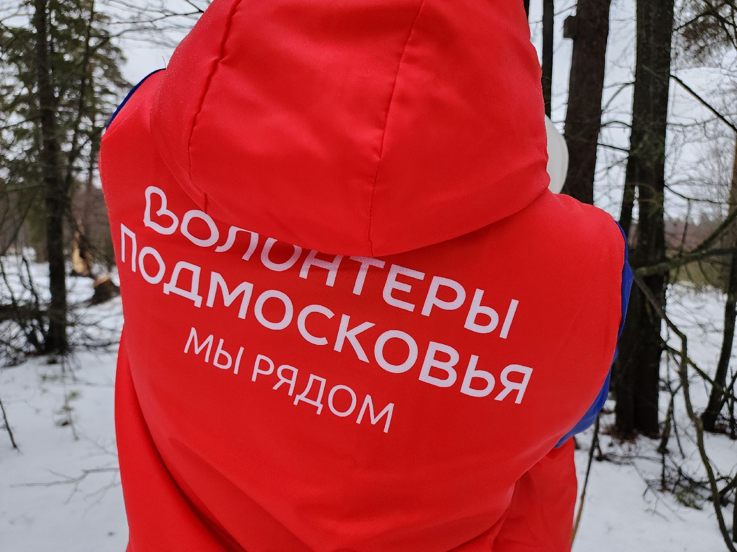 вертикалки, Егорьевск, Подмосковье, Московская область, волонтеры подмосковья,