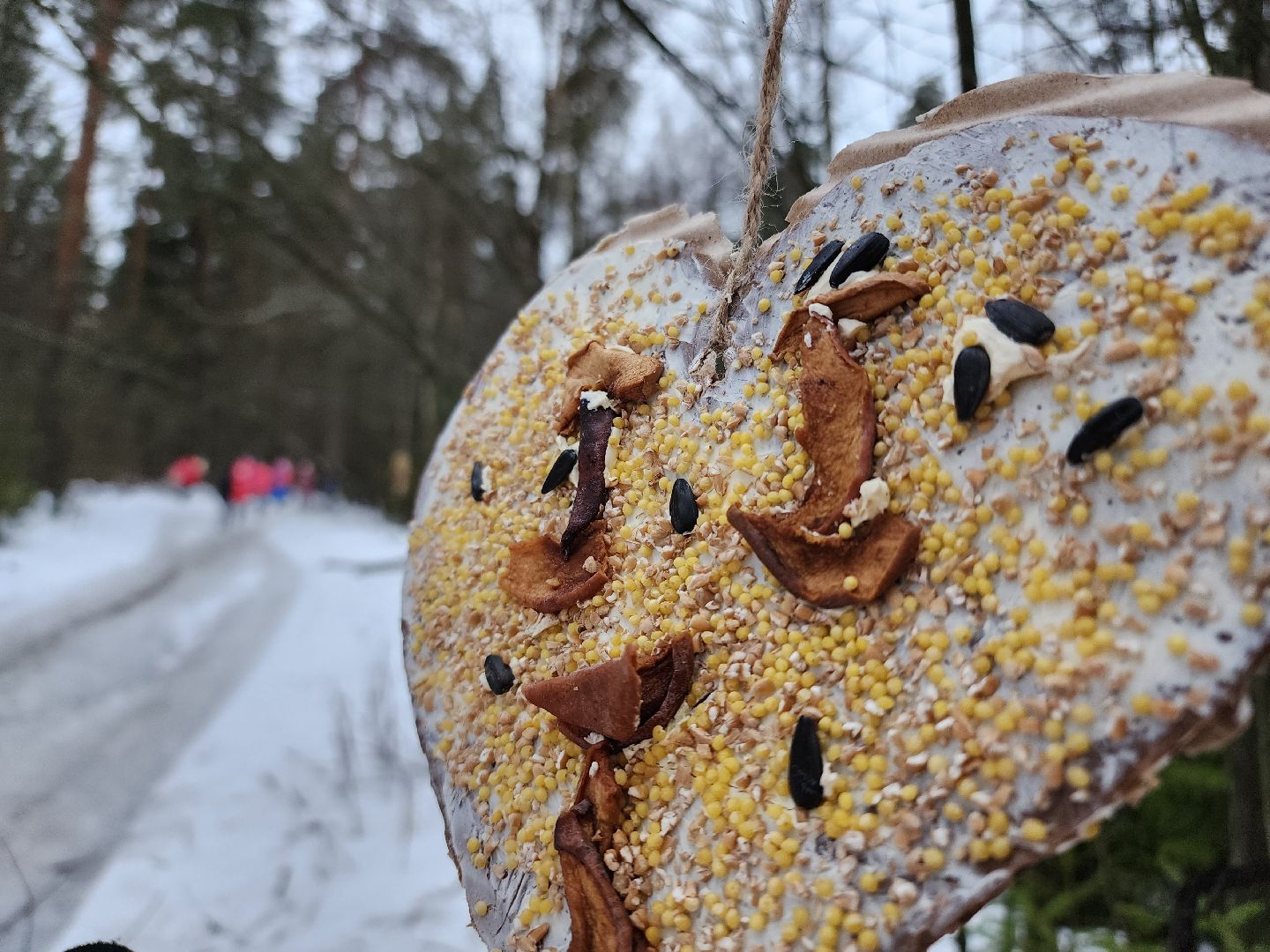 вертикалки, Егорьевск, Подмосковье, Московская область, волонтеры подмосковья,