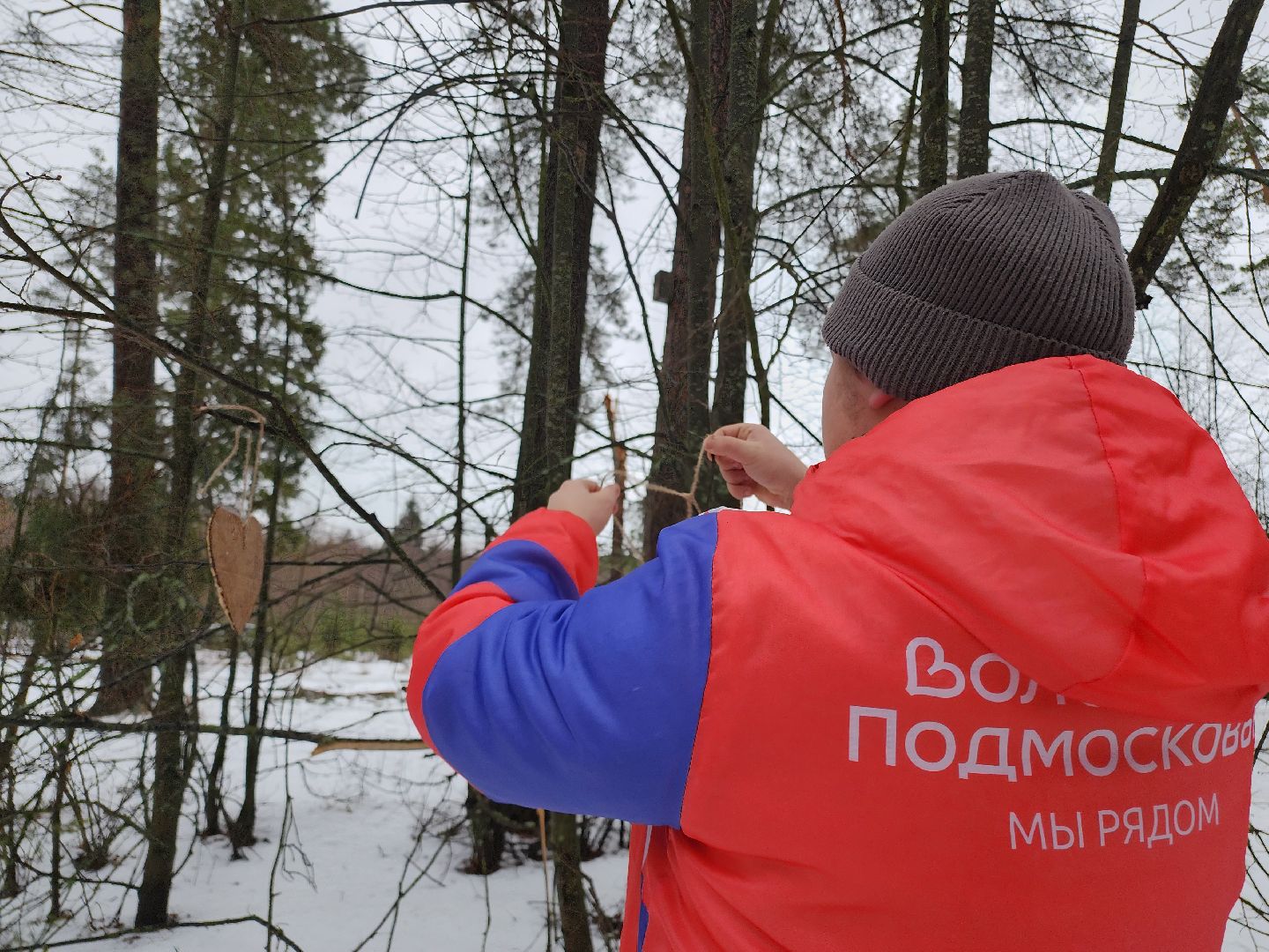 вертикалки, Егорьевск, Подмосковье, Московская область, волонтеры подмосковья,