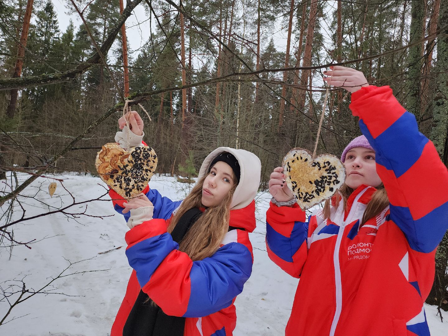 вертикалки, Егорьевск, Подмосковье, Московская область, волонтеры подмосковья,