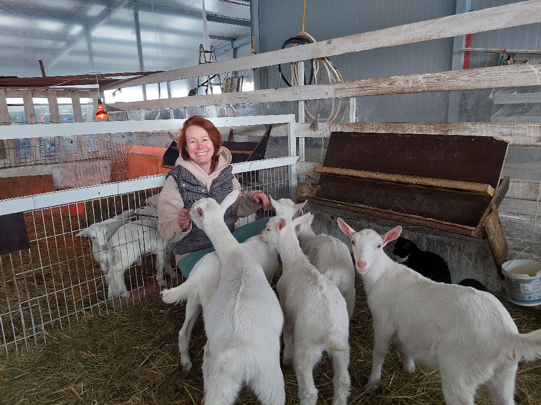 Воскресенск, общество
