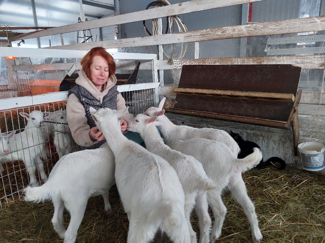 Воскресенск, общество