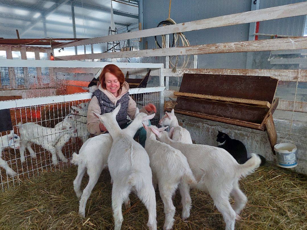 Воскресенск, общество