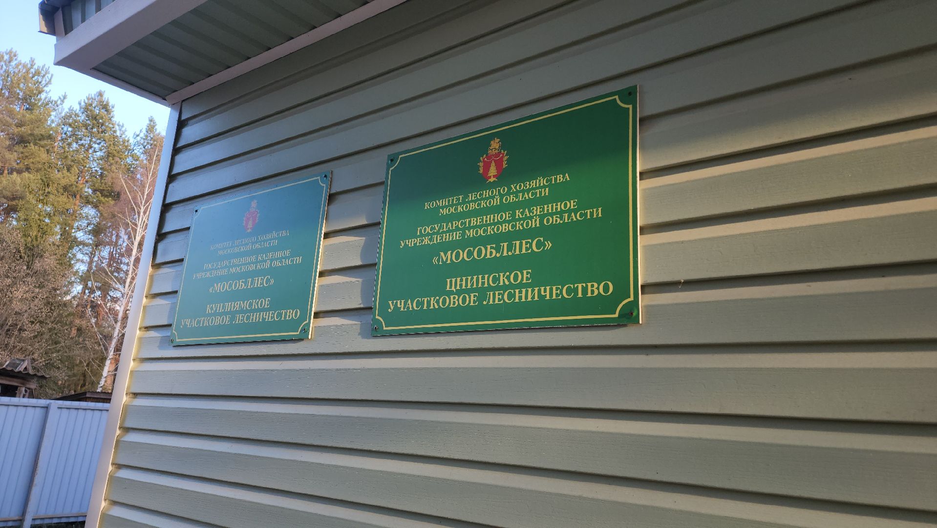 Егорьевск, Подмосковье, Московская область, Мособллес,