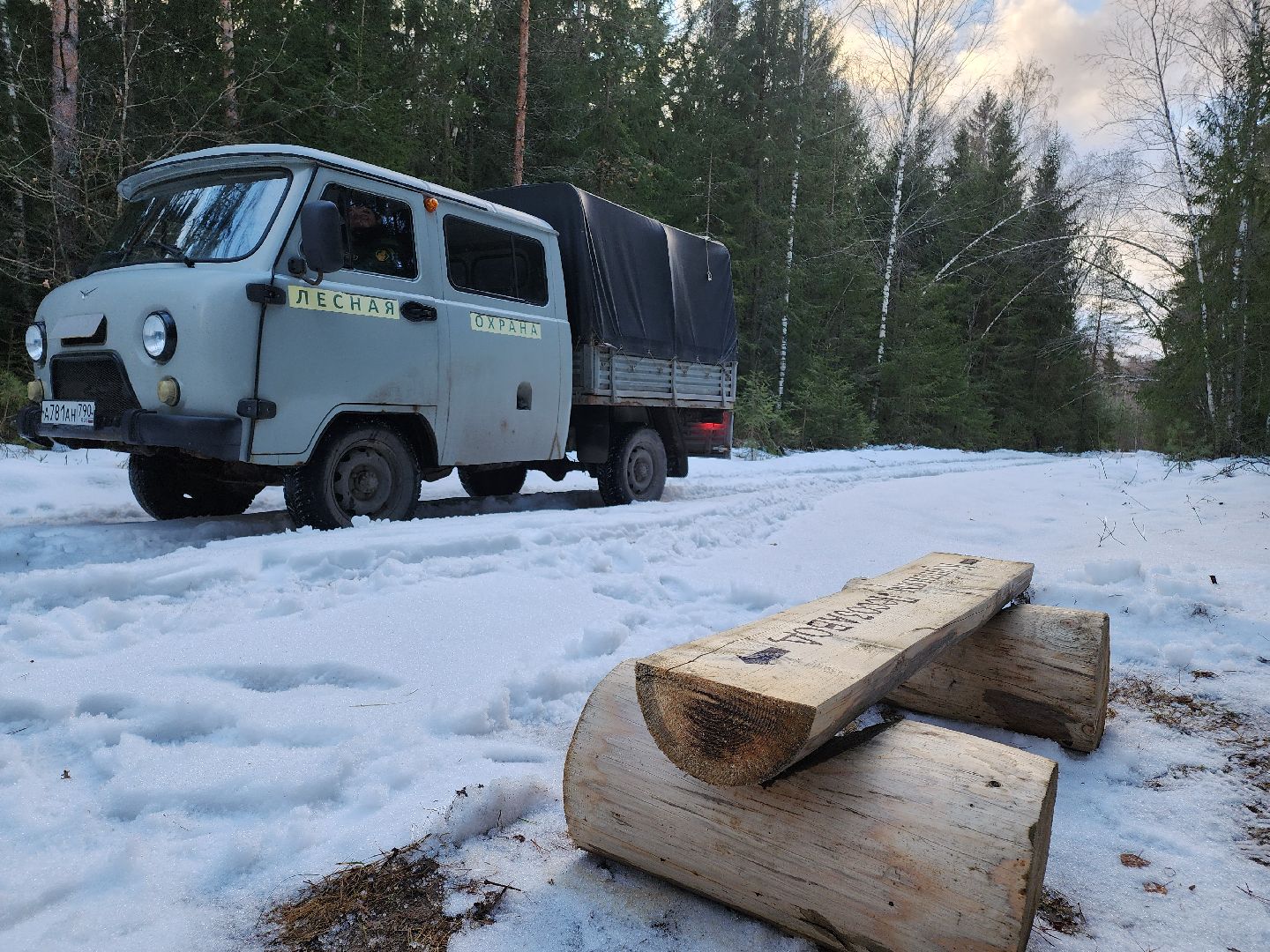 Егорьевск, Подмосковье, Московская область, Мособллес,