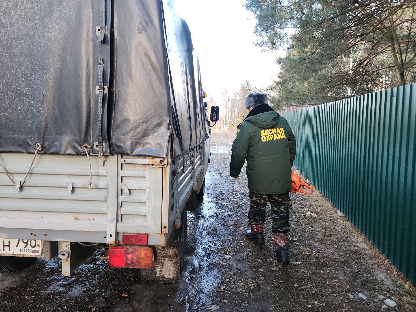 Егорьевск, Подмосковье, Московская область, Мособллес,