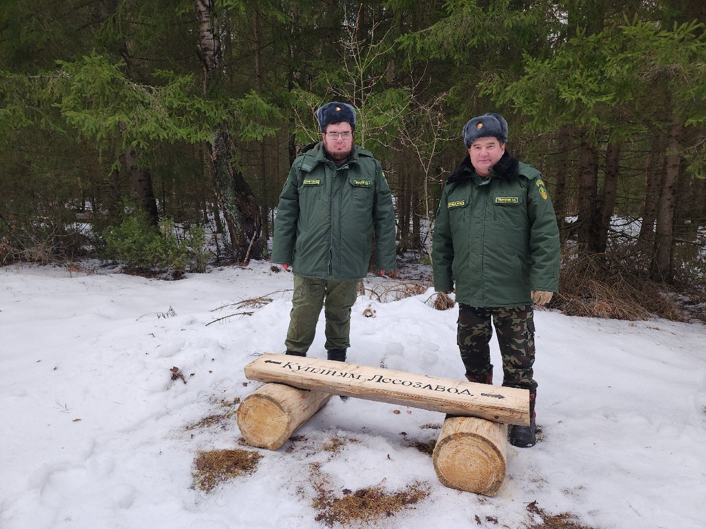 Егорьевск, Подмосковье, Московская область, Мособллес,