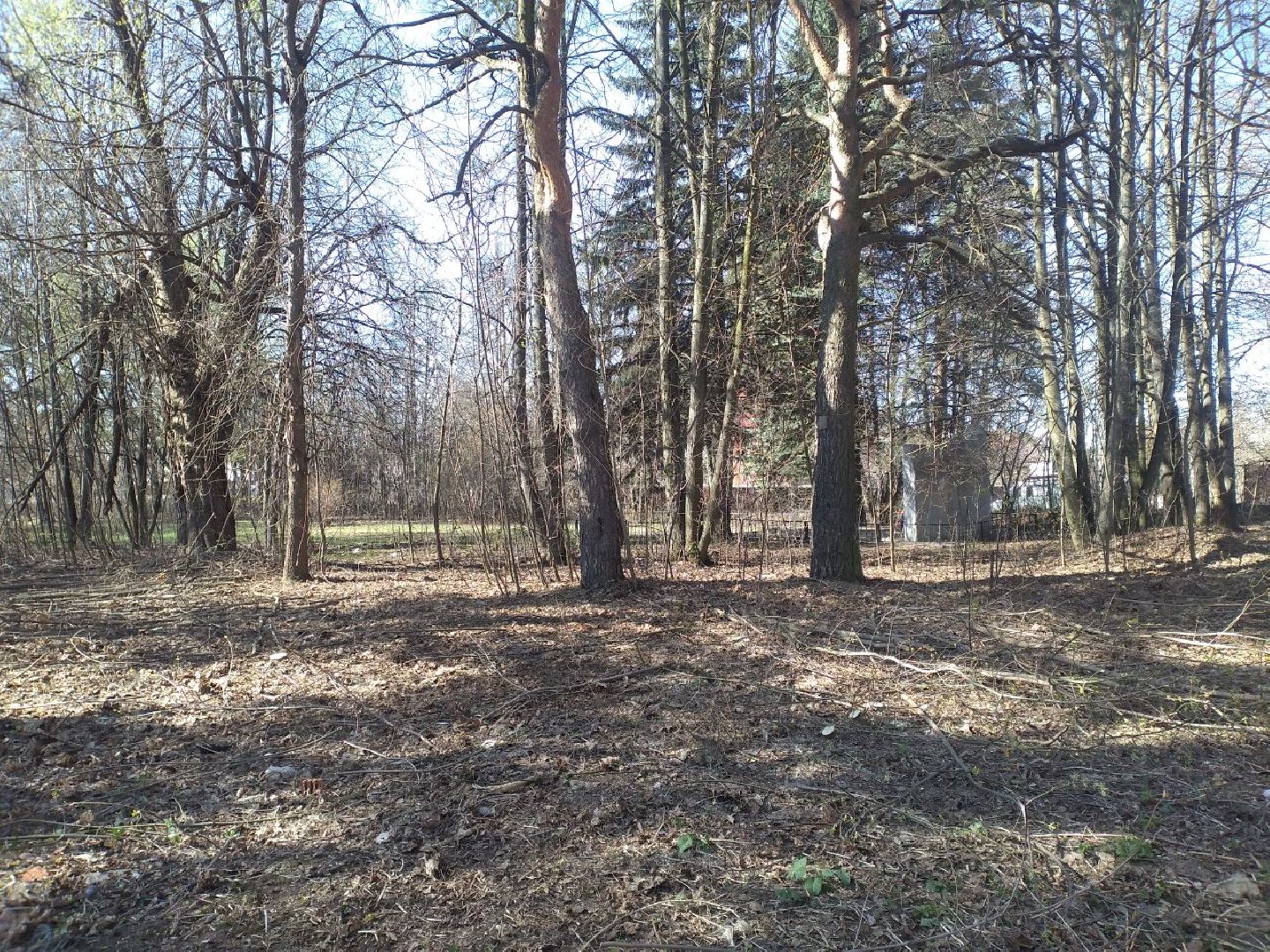 благоустройство, памятник, ВОВ, Лосино-Петровский