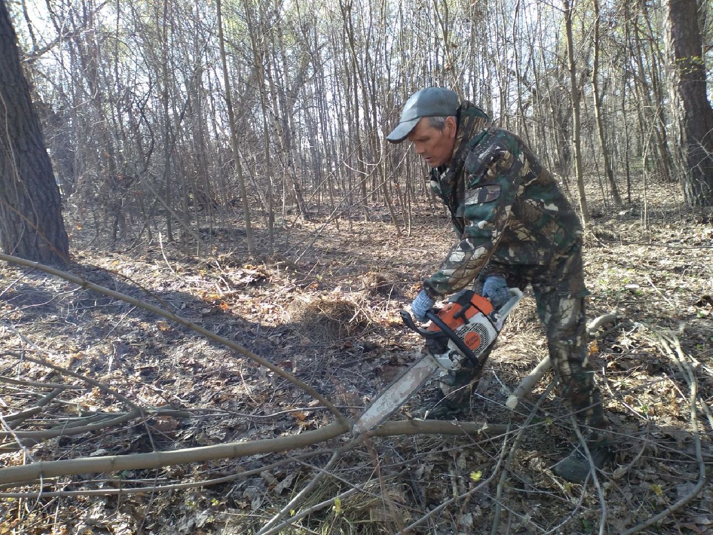 благоустройство, памятник, ВОВ, Лосино-Петровский