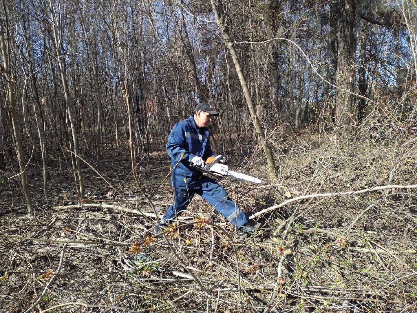 благоустройство, памятник, ВОВ, Лосино-Петровский