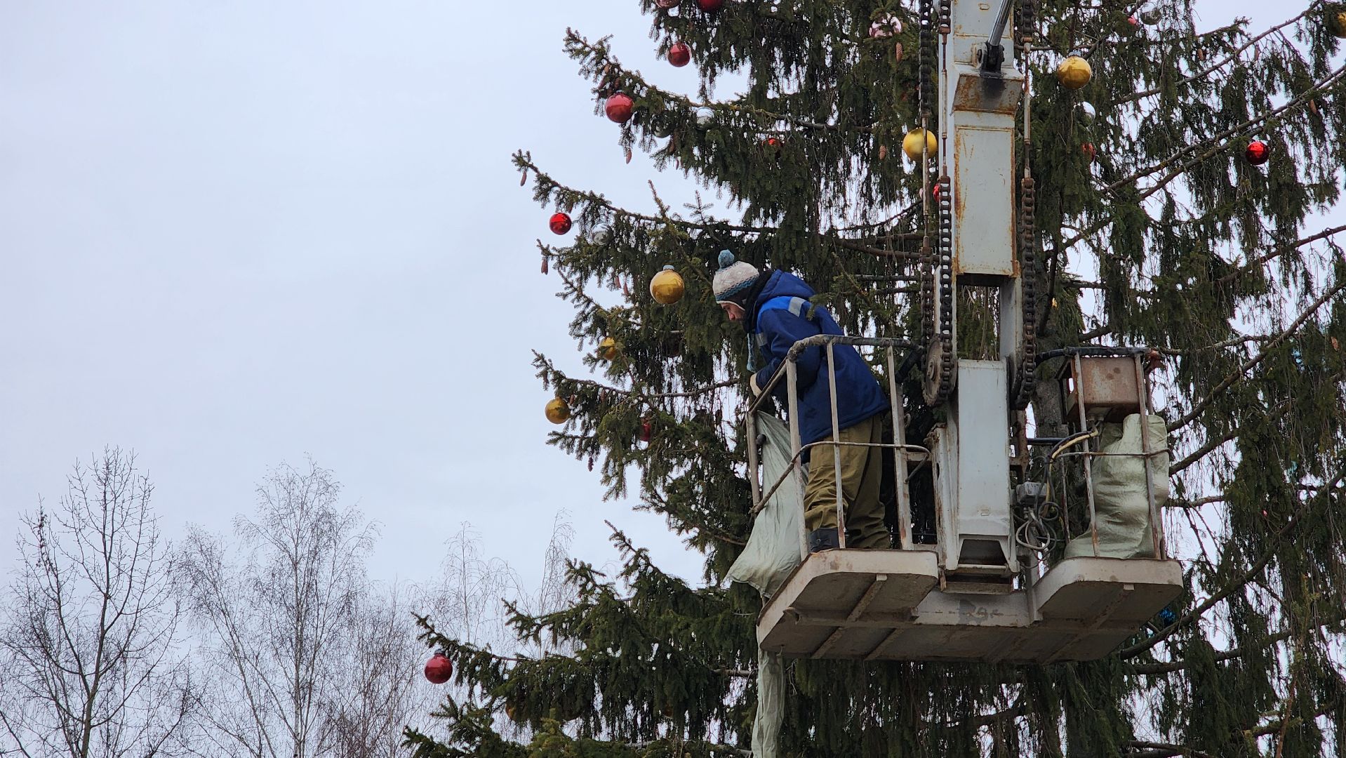Елка, комбинат благоустройства, Протвино, вертикалки,