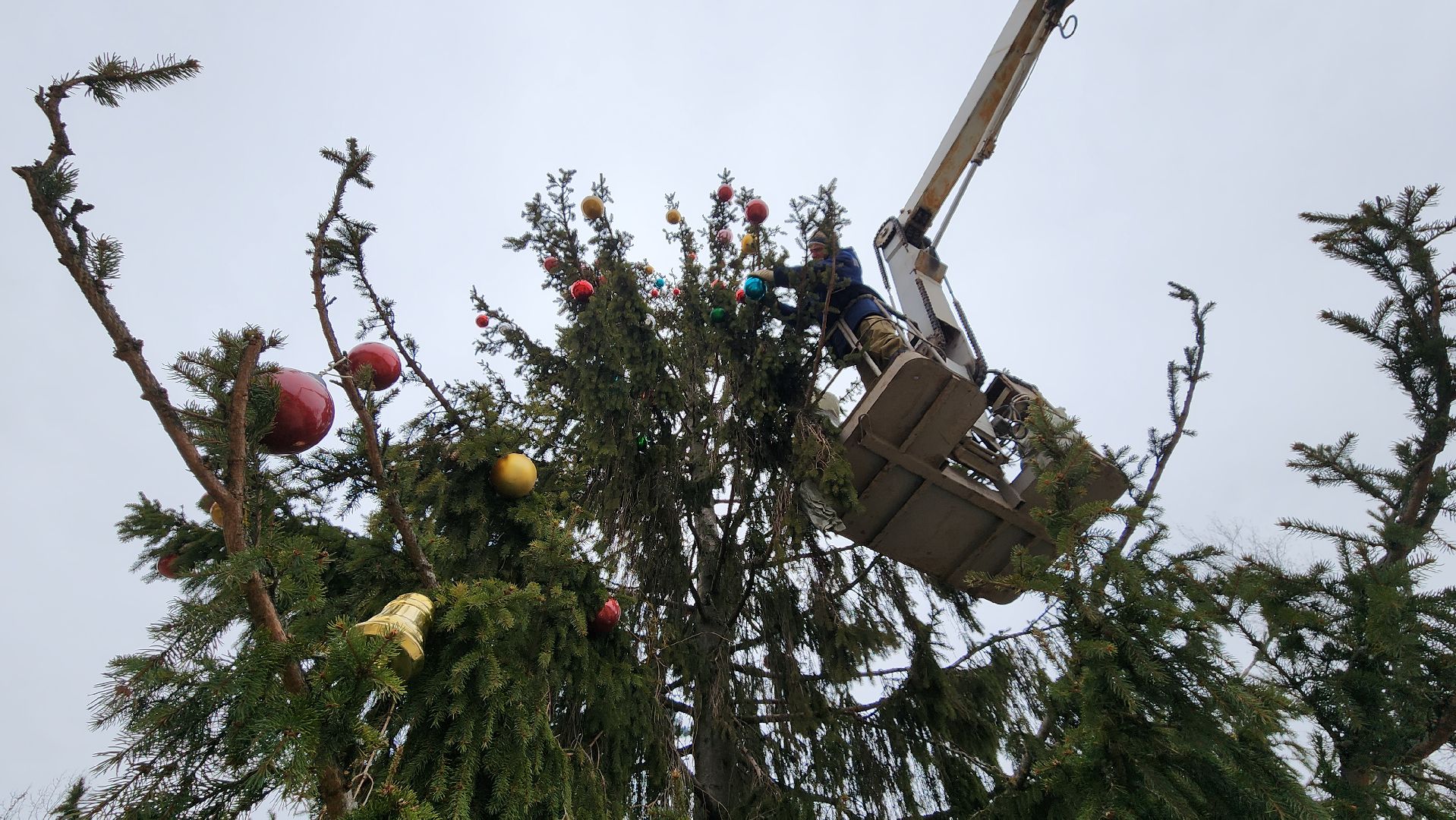 Елка, комбинат благоустройства, Протвино, вертикалки,