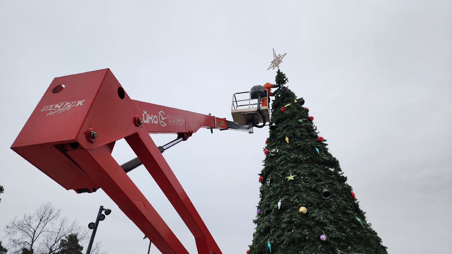 Протвино, разборка елки, комбинат благоустройства, вертикалки,