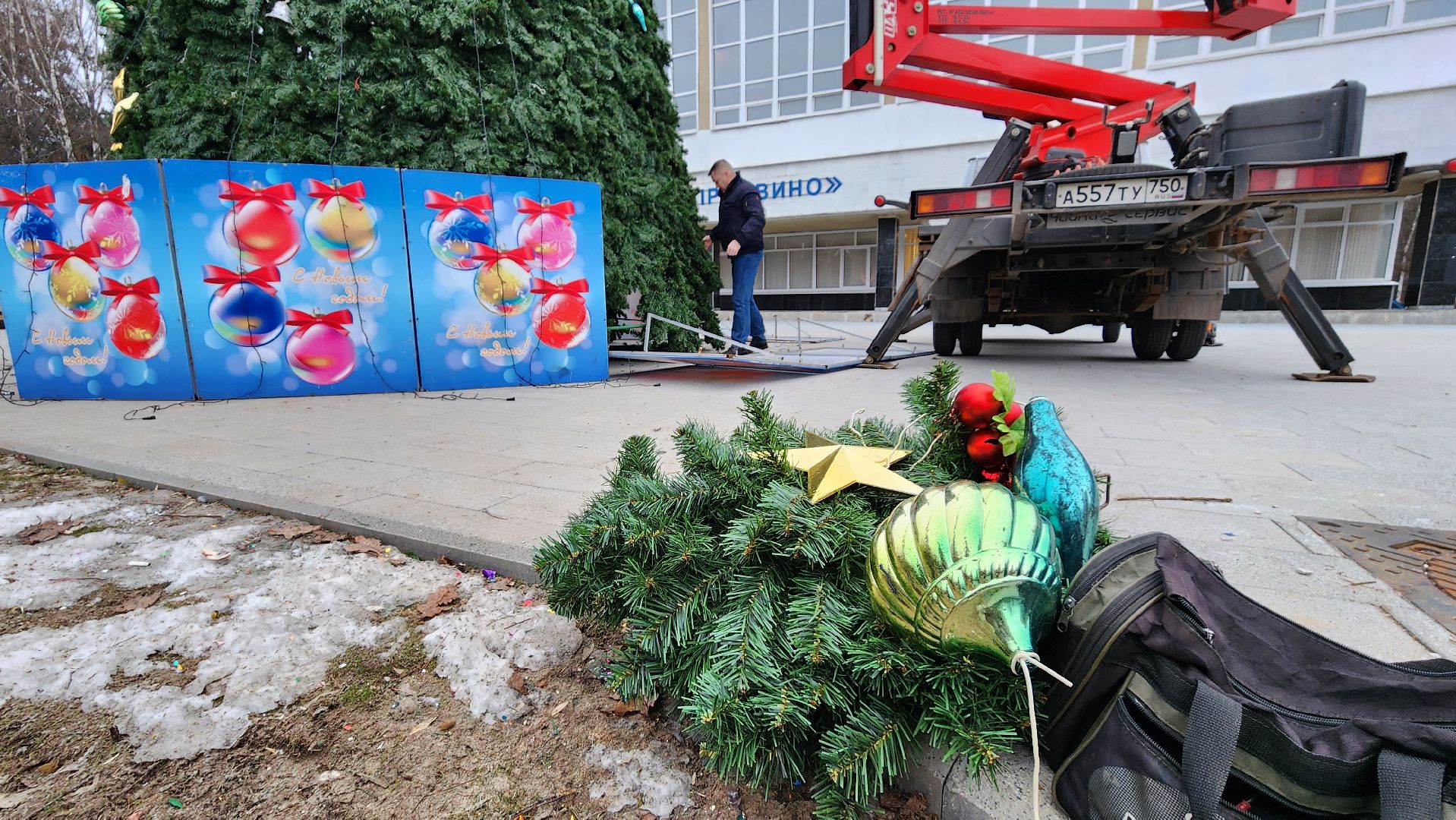 Протвино, разборка елки, комбинат благоустройства, вертикалки,