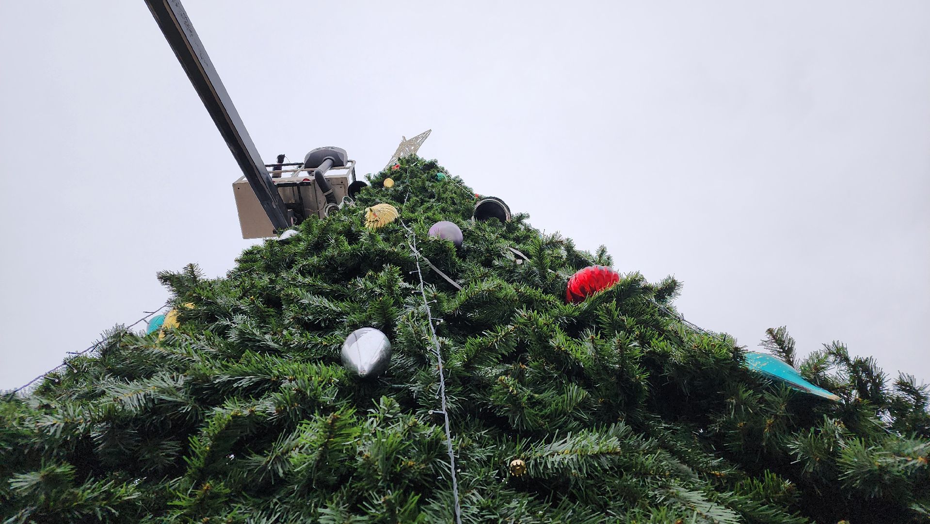 Протвино, разборка елки, комбинат благоустройства, вертикалки,