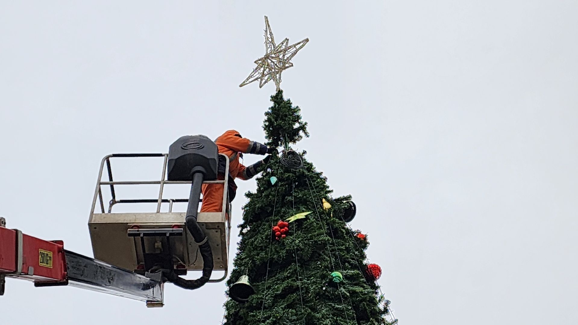 Протвино, разборка елки, комбинат благоустройства, вертикалки,