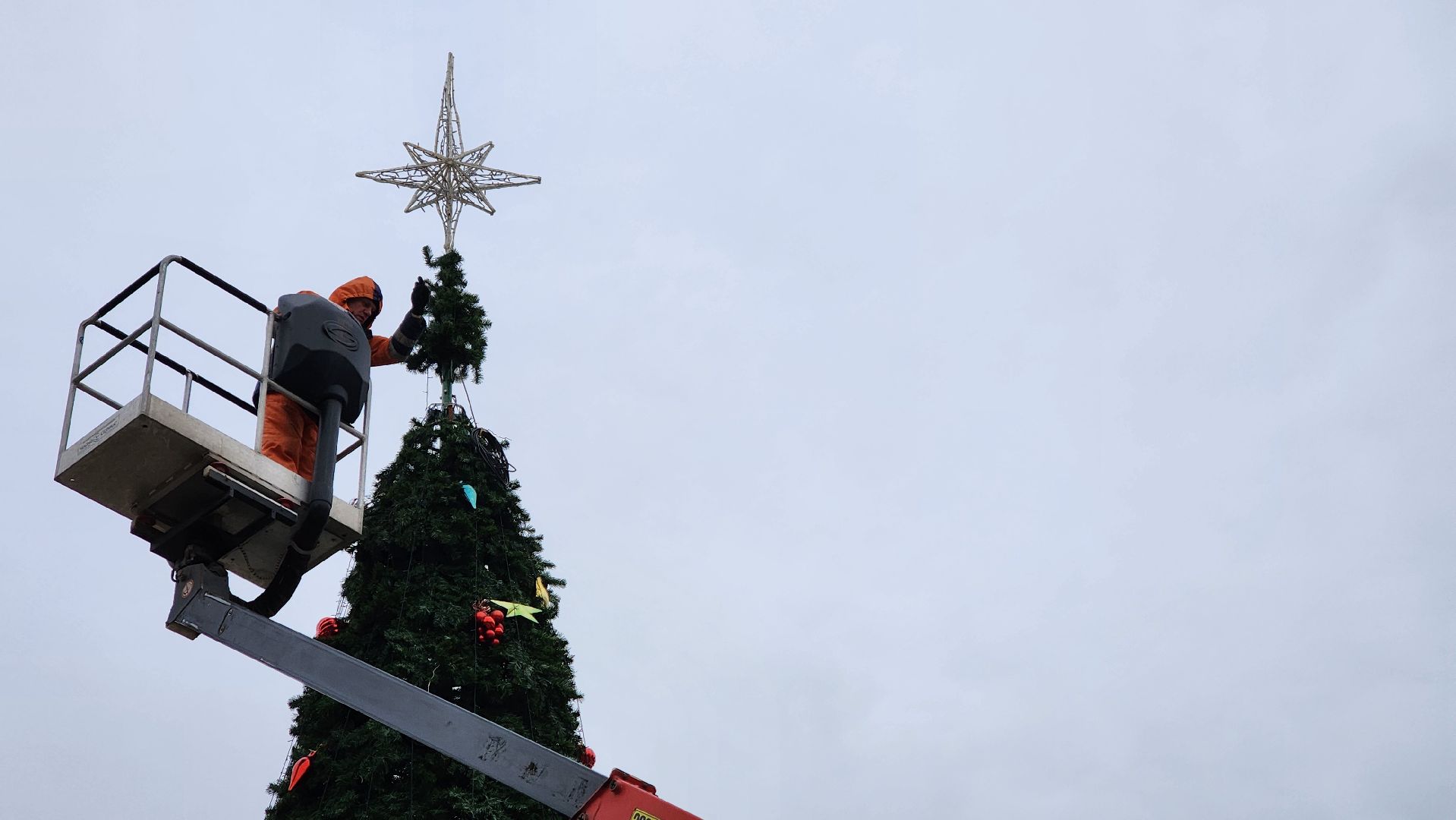 Протвино, разборка елки, комбинат благоустройства, вертикалки,