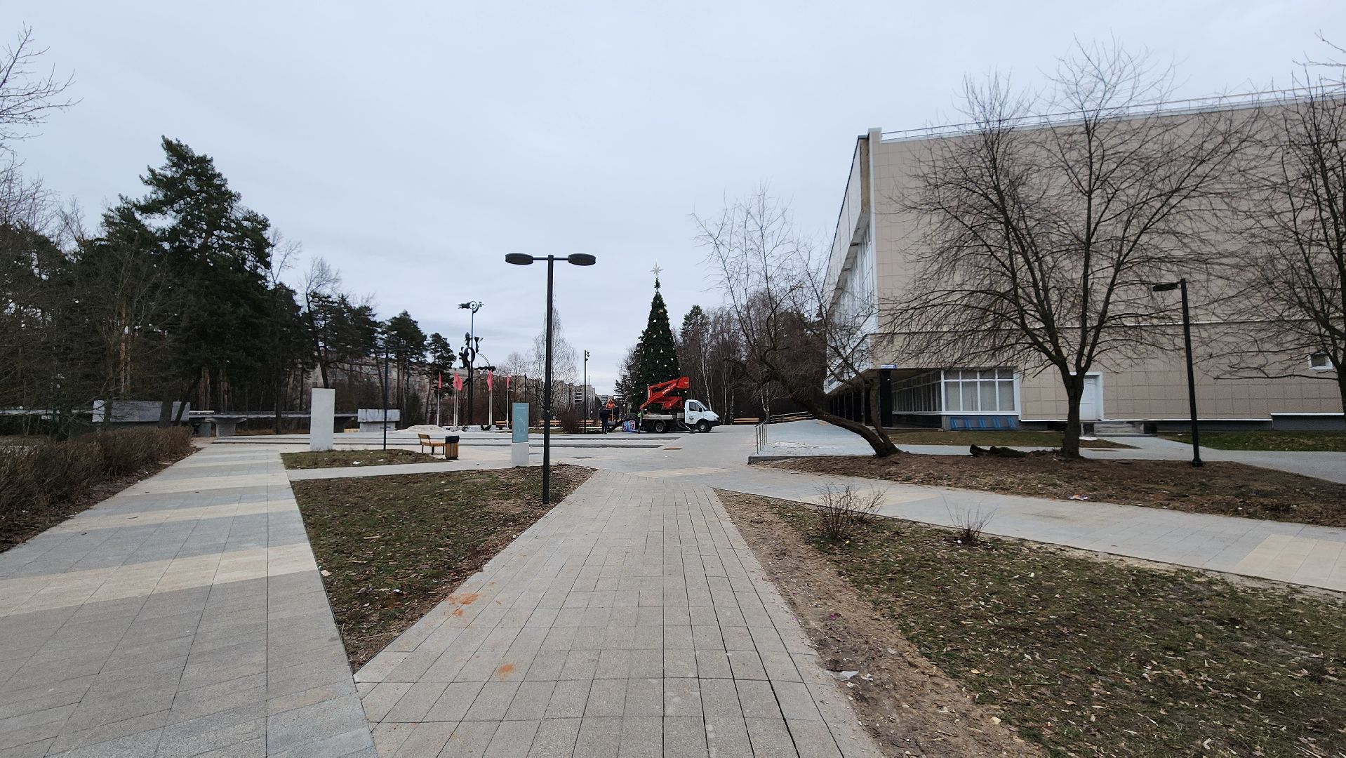 Протвино, разборка елки, комбинат благоустройства, вертикалки,