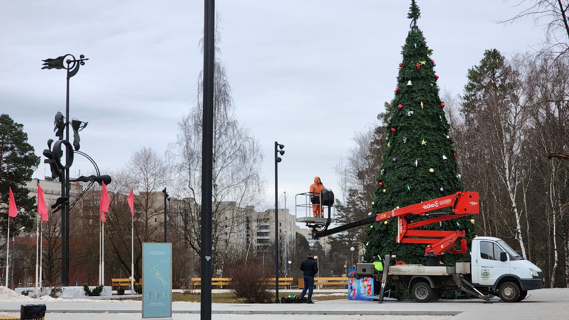 Протвино, разборка елки, комбинат благоустройства, вертикалки,
