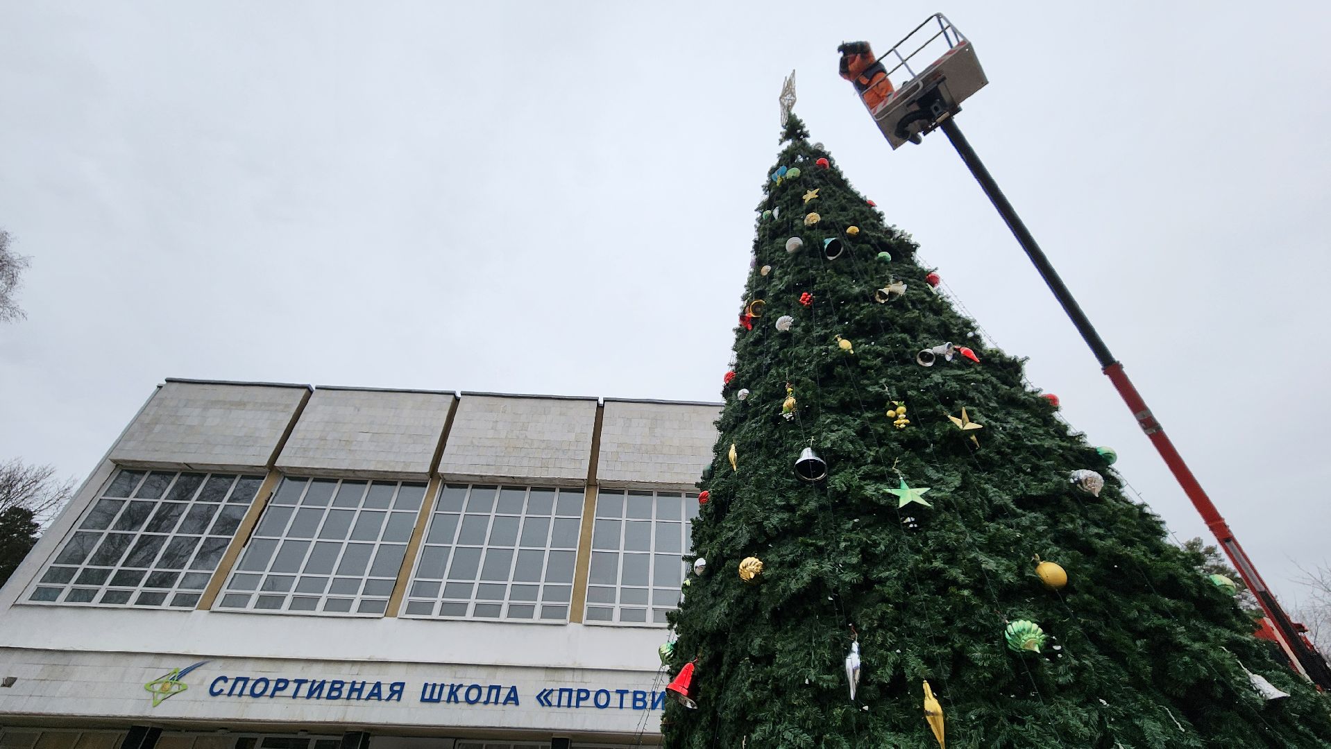 Протвино, разборка елки, комбинат благоустройства, вертикалки,