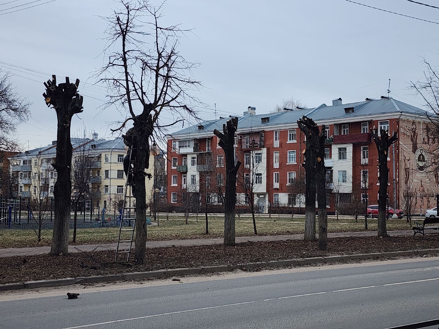 серпухов, подмосковье, кронирование,