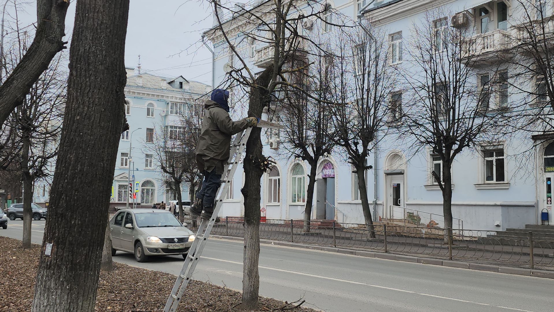 серпухов, подмосковье, кронирование,