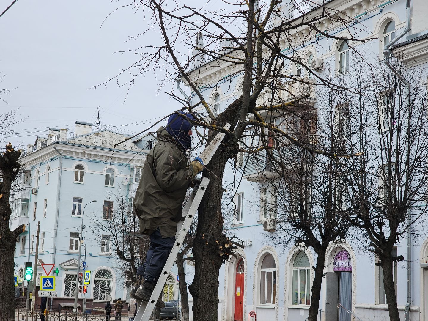 серпухов, подмосковье, кронирование,